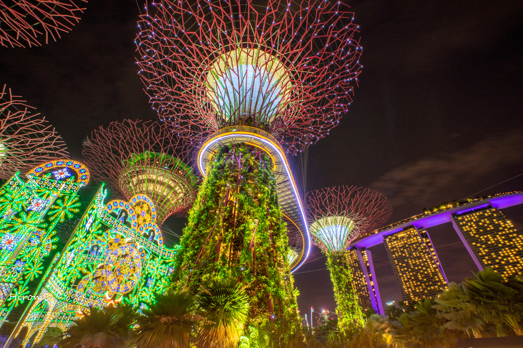 シンガポールのクリスマス ガーデンズバイザベイ 大人のための絶景アドベンチャー