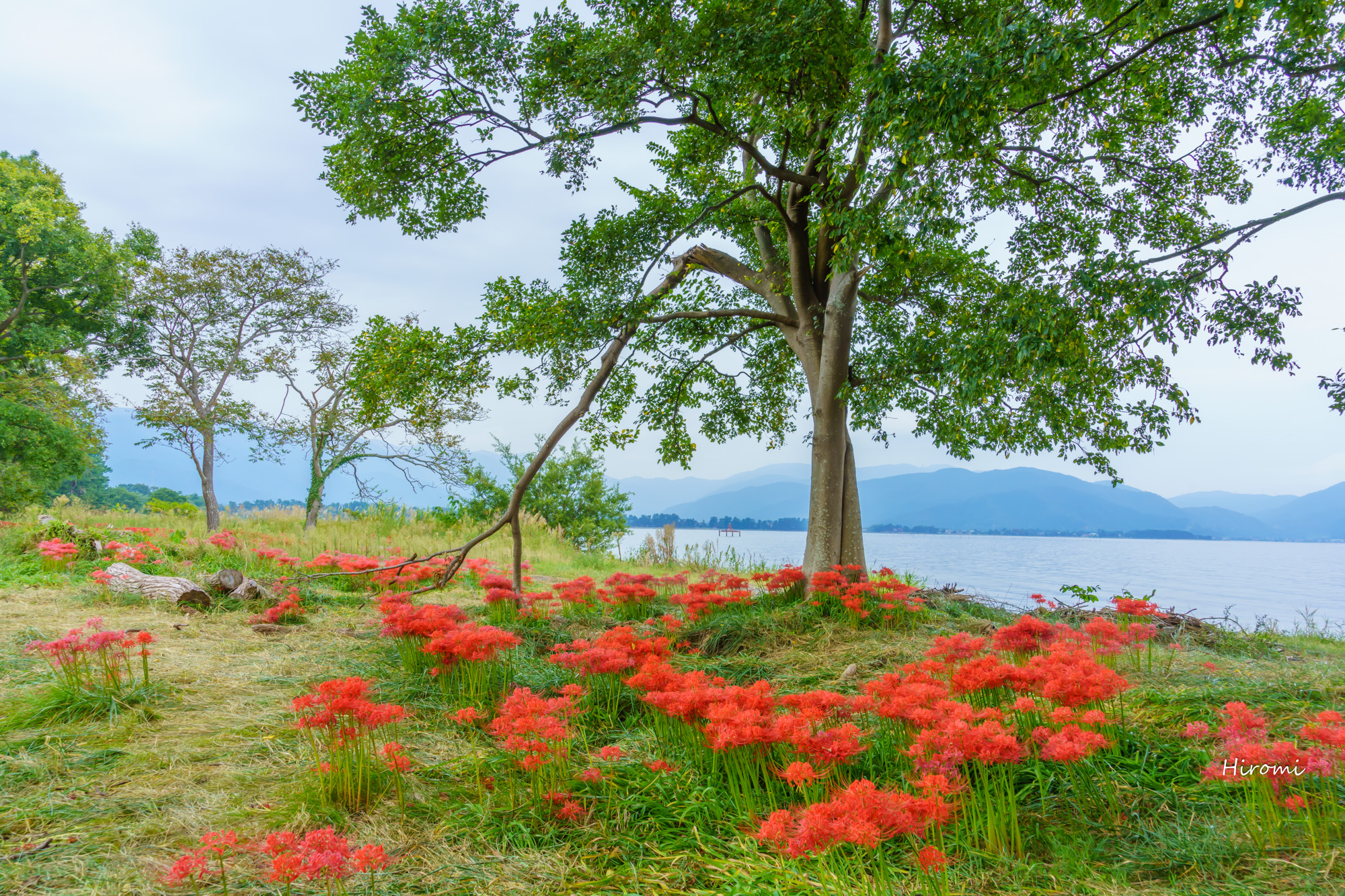 滋賀 高島市の絶景スポット7選 大人のための絶景アドベンチャー