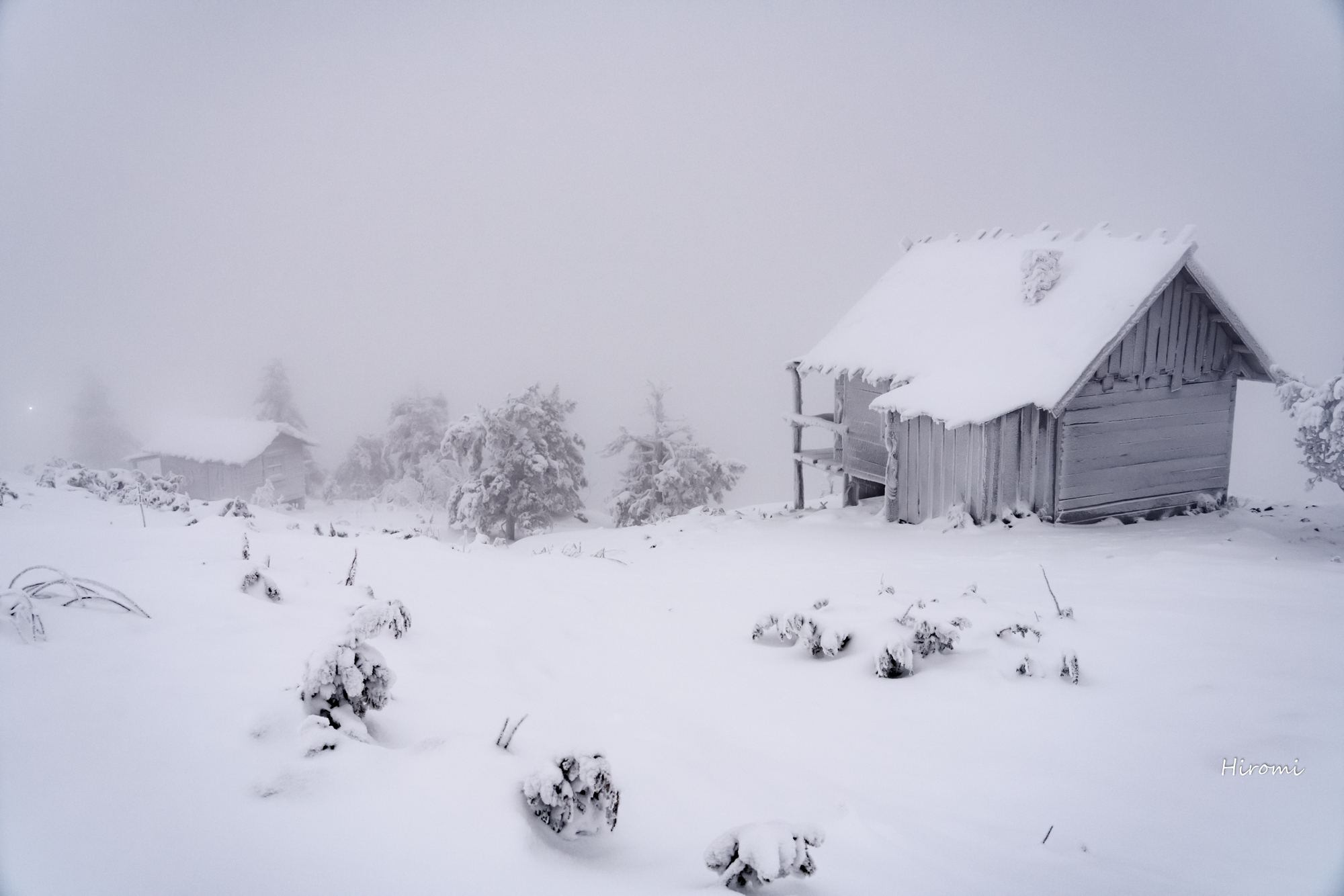 フィンランド Finland 大人のための絶景アドベンチャー