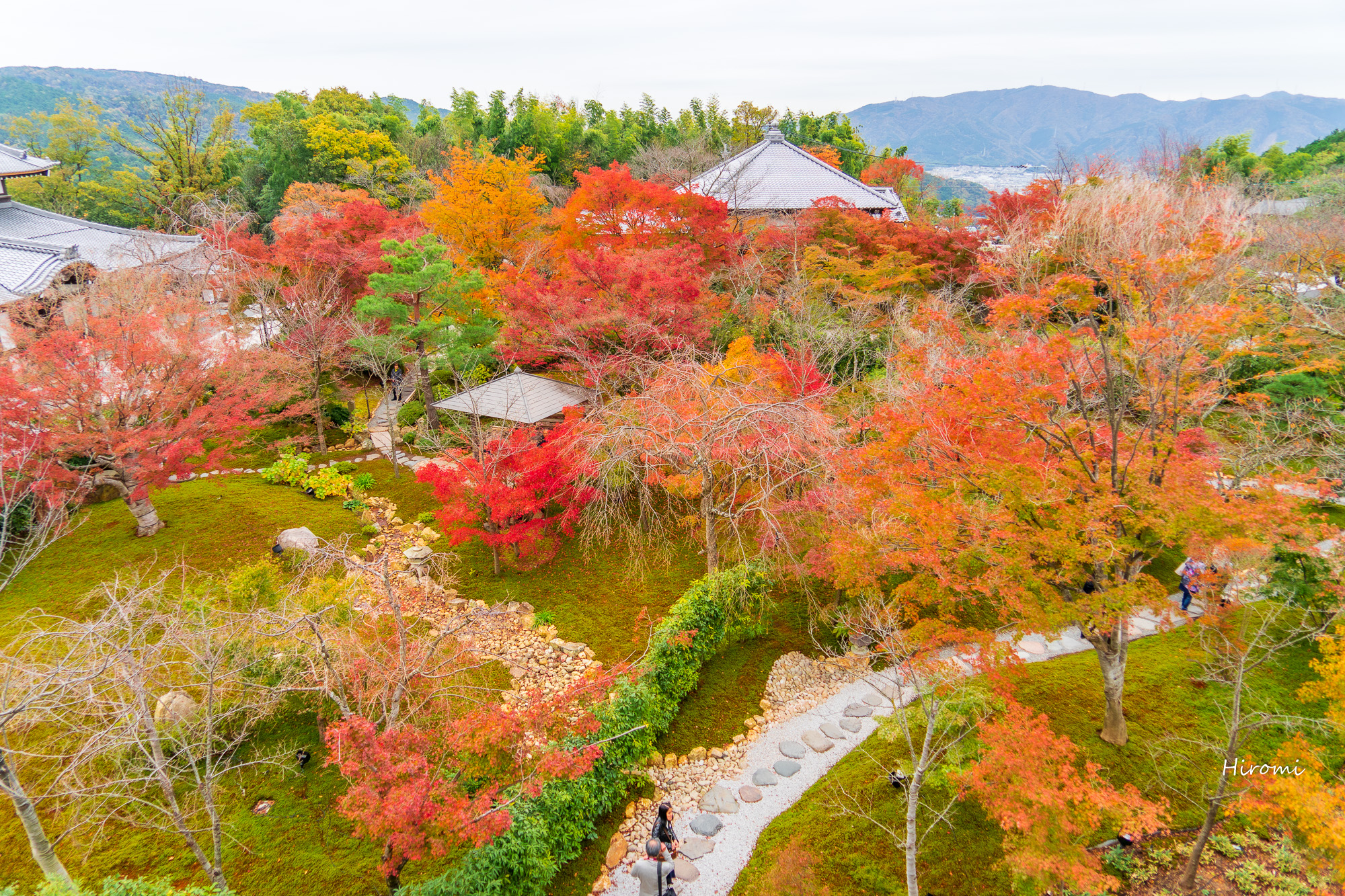 京都の紅葉スポット 東山 清水寺方面6選 大人のための絶景アドベンチャー