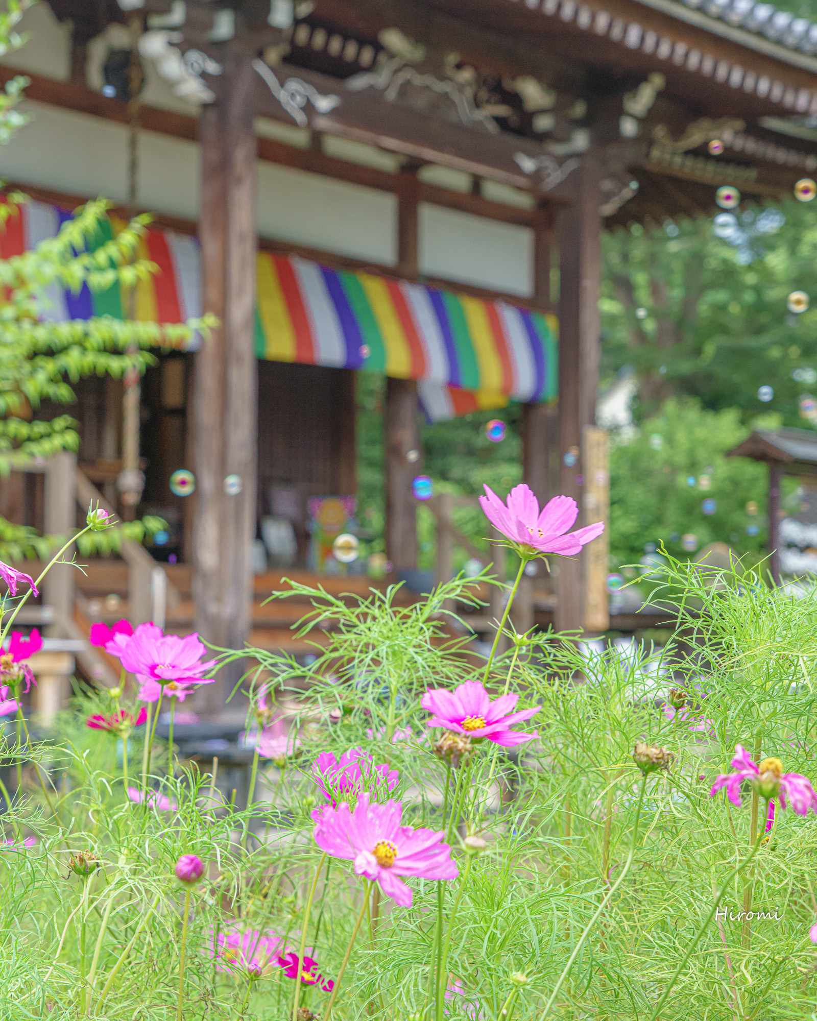 紫陽花ガラスボールが大人気の映えスポット 初夏の奈良 般若寺 大人のための絶景アドベンチャー