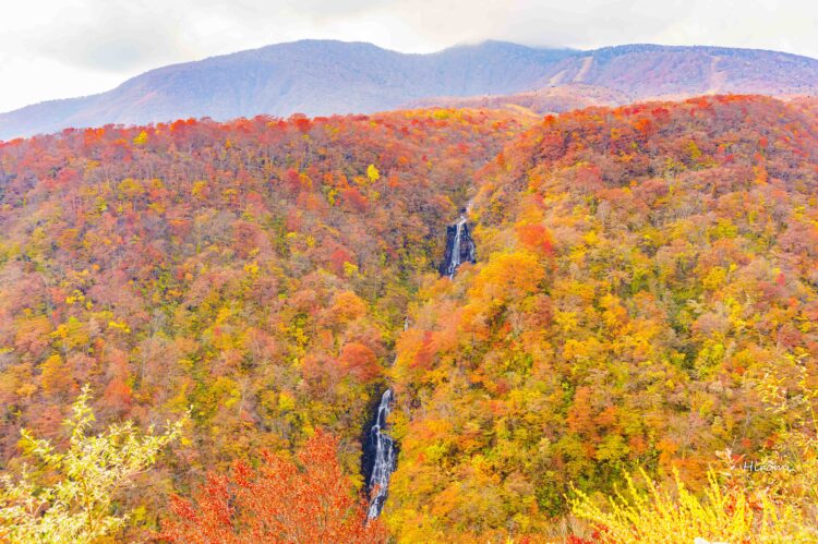 蔵王エコーラインを紅葉ドライブ おすすめルート 大人のための絶景アドベンチャー