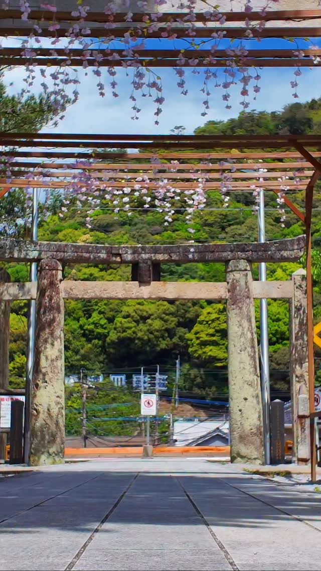 Train goes in front of the shrine – Scenes like Anime
電車が前を通る神社
アニメのような風景でした
 
 
📍Toyma Jinja, Saga. Japan
佐賀　陶山神社
 

꙳✧˖°⌖꙳✧˖°⌖꙳✧˖°⌖꙳✧˖°⌖꙳✧˖°
@hiromitravel
国内外の旅をお届けしています
destinations・hotels・gourmet
꙳✧˖°⌖꙳✧˖°⌖꙳✧˖°⌖꙳✧˖°⌖꙳✧˖°

#travel #旅行　#bucketlisttravel